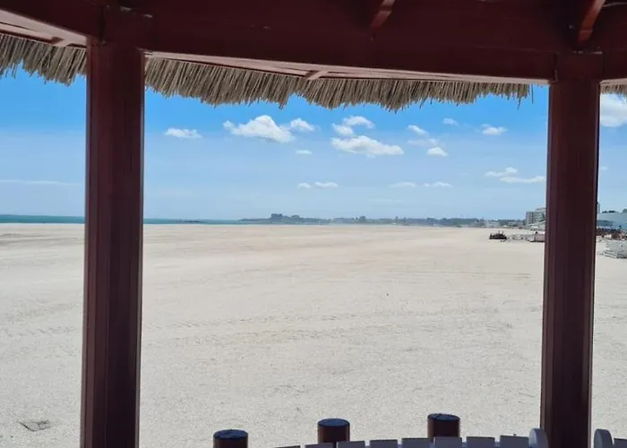 Apartment 2 Moonlight *